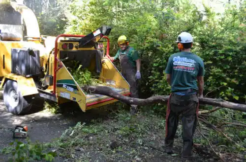 tree services Maplesville